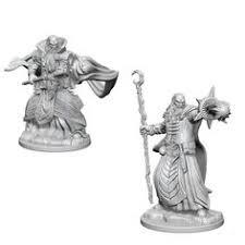 D&D Nolzur's Marvelous Miniatures: Human Wizard (Male)